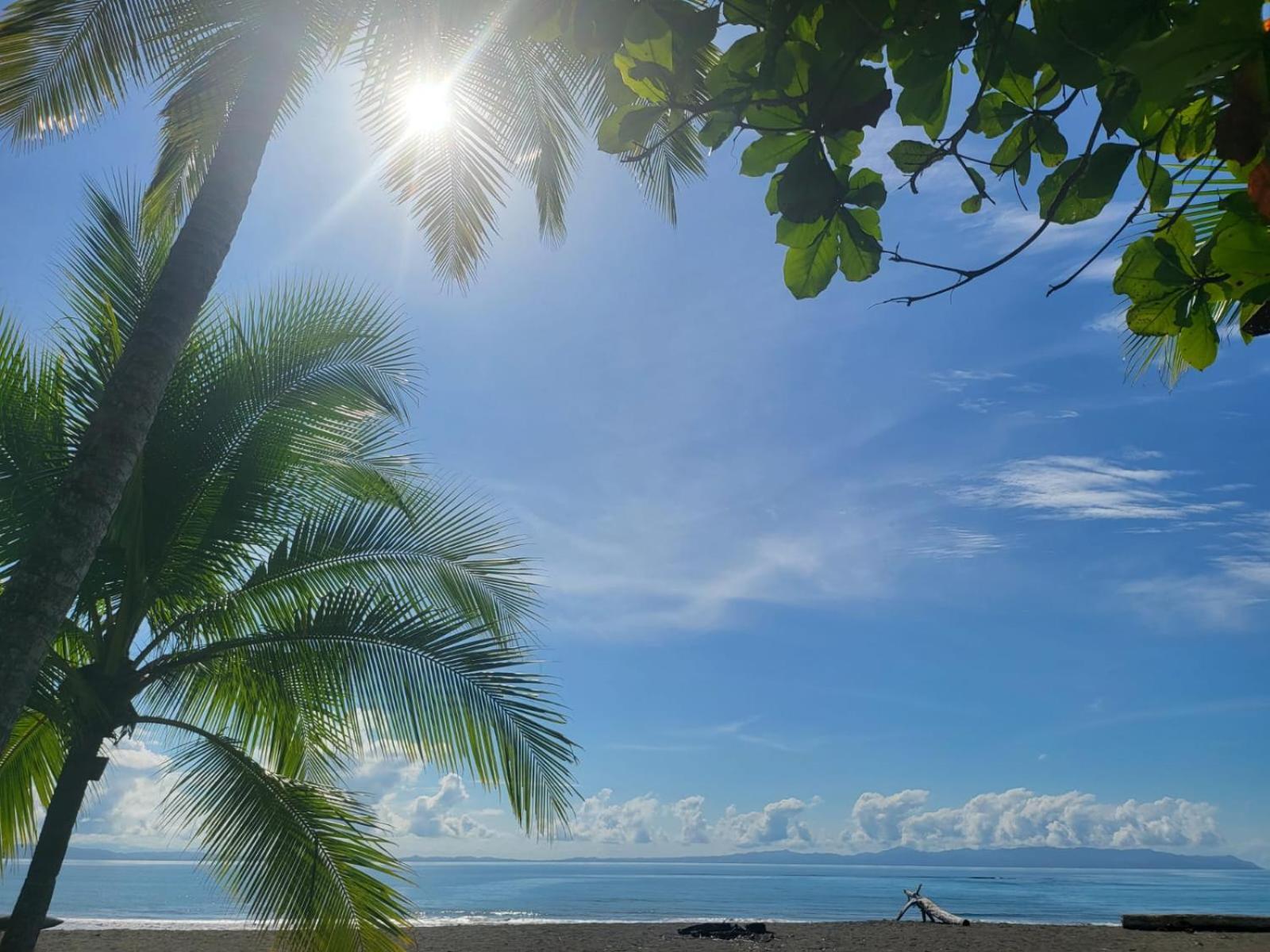 Agua Dulce On The Beach Puerto Jimenez Exterior photo
