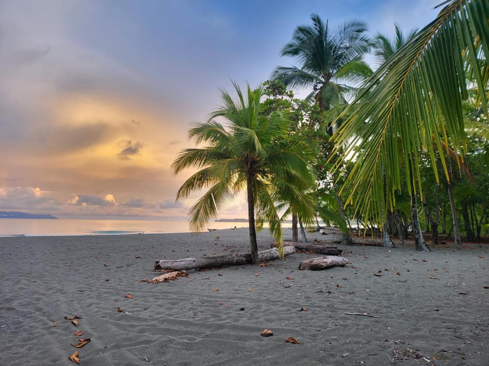 Agua Dulce On The Beach Puerto Jimenez Exterior photo