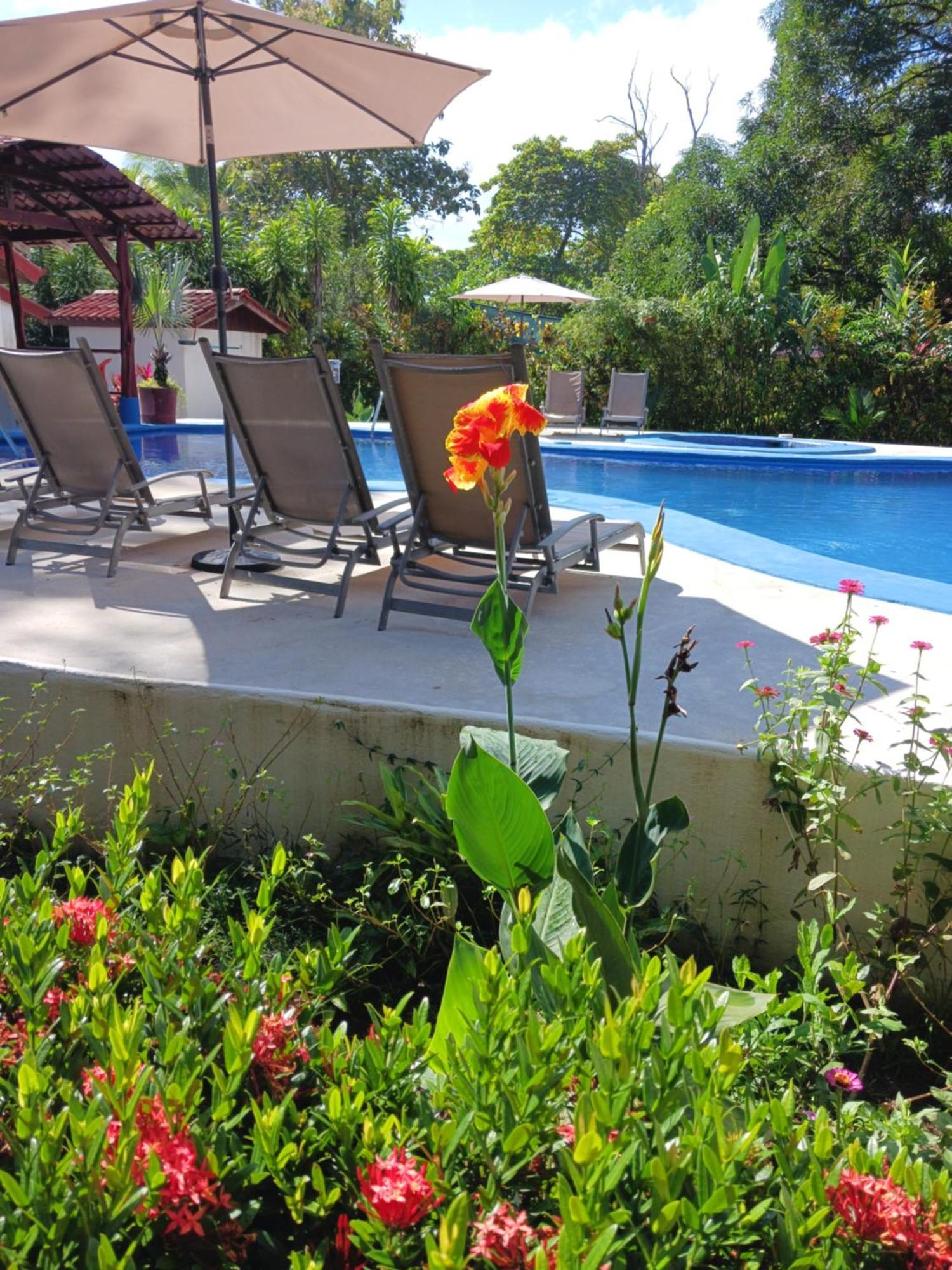 Agua Dulce On The Beach Puerto Jimenez Exterior photo