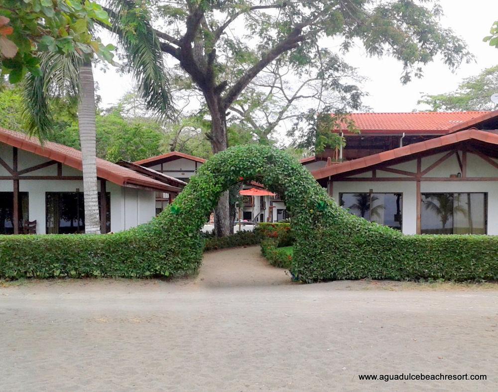 Agua Dulce On The Beach Puerto Jimenez Exterior photo