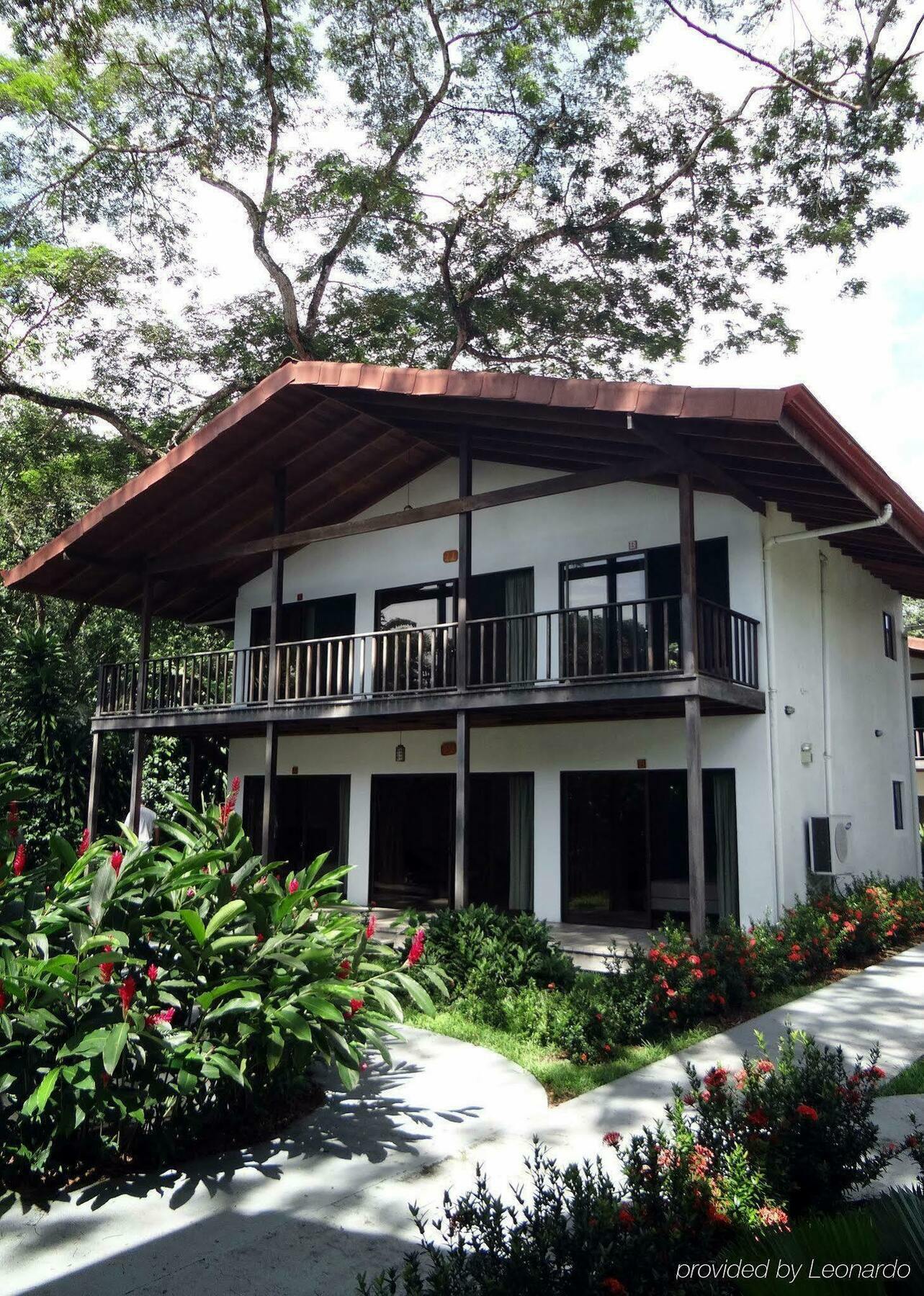 Agua Dulce On The Beach Puerto Jimenez Exterior photo